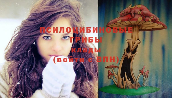 марки nbome Верея