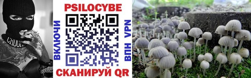 Галлюциногенные грибы Psilocybine cubensis  Купить где  Изобильный 